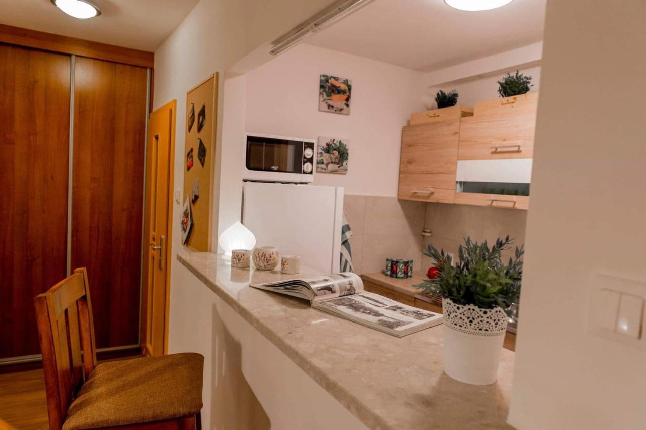 Apartament Apartament Słoneczny Zbąszyń Zewnętrze zdjęcie